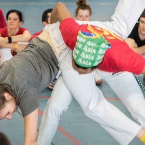 Cours d’éveil capoeira juin 2016 Ct Arnaud