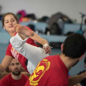 Cours d’éveil capoeira juin 2016 Ct Arnaud