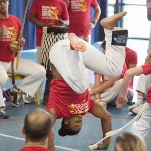 Cours d’éveil capoeira juin 2016 Ct Arnaud